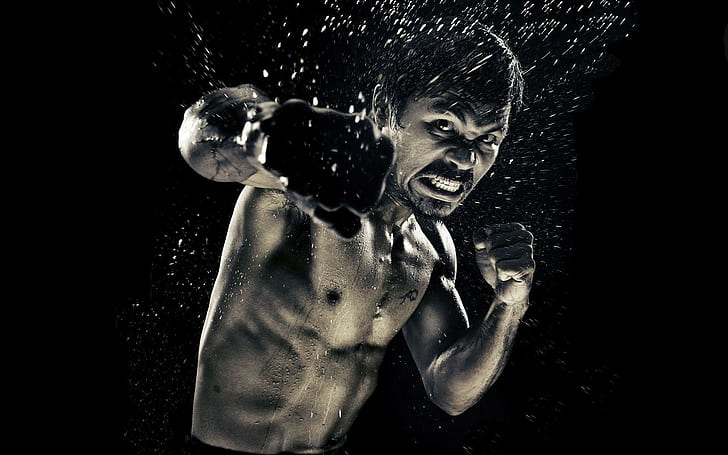män, Manny Pacquiao, boxning, HD tapet