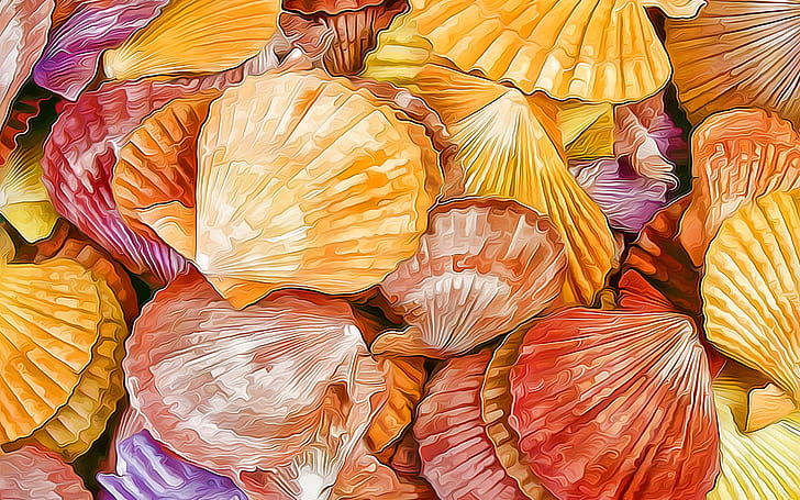 Shells Texture, shell, HD wallpaper
