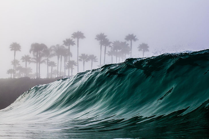 body of water, waves, trees, mist, water, HD wallpaper