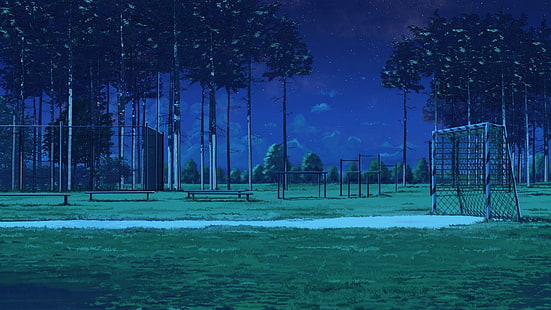 green grass, Everlasting Summer, Soccer Field, night, bench, ArseniXC, HD wallpaper HD wallpaper