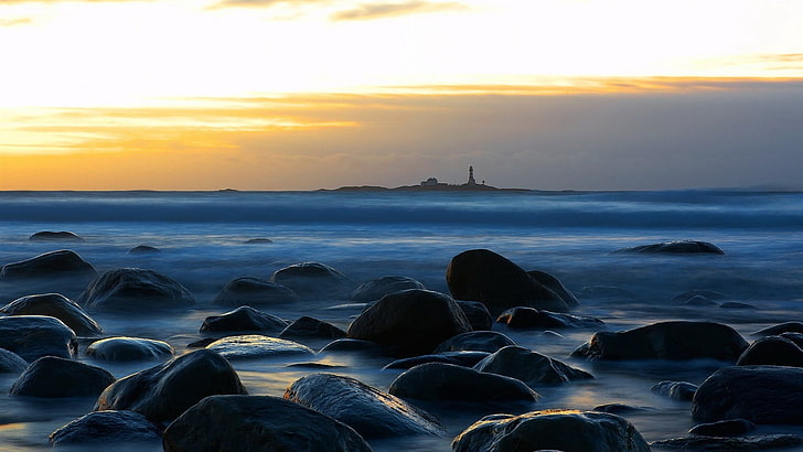 pintura de pescado blanco y negro, roca, mar, playa, faro, puesta de sol, Fondo de pantalla HD