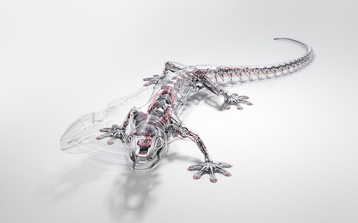robots animals audi lizards gecko reptile 1680x1050  Cars Audi HD Art , animals, Robots, HD wallpaper