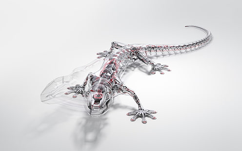 robotar djur audi ödlor gecko reptil 1680x1050 Bilar Audi HD Konst, djur, robotar, HD tapet HD wallpaper
