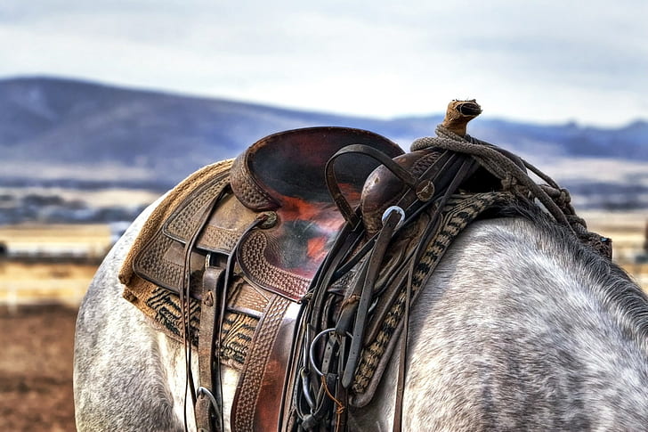 saddle, HD wallpaper