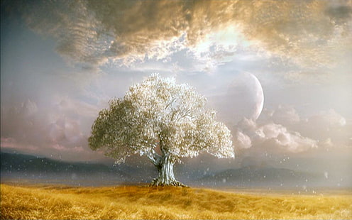 готино, фантазия, три от живота, дърво на живота ---- готино-1440x900-дърво на живота - изтегляне - hd, hd, HD тапет HD wallpaper
