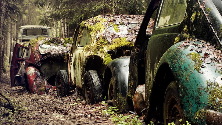 wrecked cars, vintage, car, wreck, Volkswagen Beetle, moss, fallen leaves, HD wallpaper