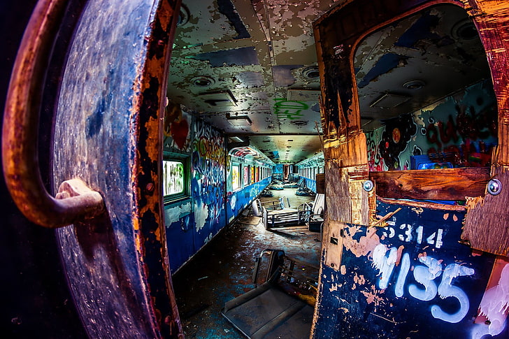 niebieski i szary pociąg, pociąg, ruiny, graffiti, Tapety HD
