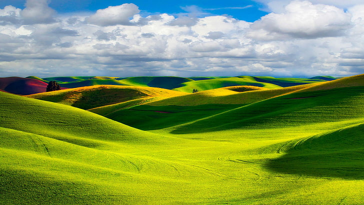 Vast grasslands-Nature Landscape wallpaper, green and yellow grass field mountain, HD wallpaper