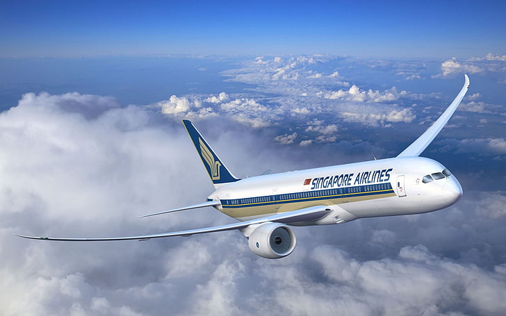 Singapore Airlines, Singapore Airlines airplane, Aircrafts / Planes, Commercial Aircraft, plane, aircraft, HD wallpaper