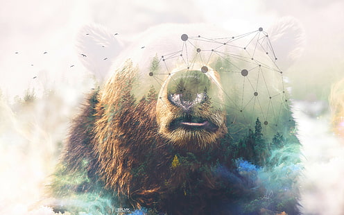 Wald, Bär, Double, Grizzly, Exposition, HD-Hintergrundbild HD wallpaper