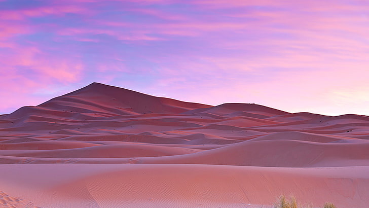 النخيل الصحراء الصحراء المغرب ، الصحراء ، الأشجار ، النخيل ، الصحراء ، المغرب، خلفية HD