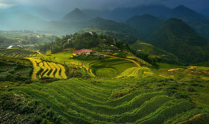 terrazze di riso, paesaggio, Vietnam, campo terrazzato, Sfondo HD