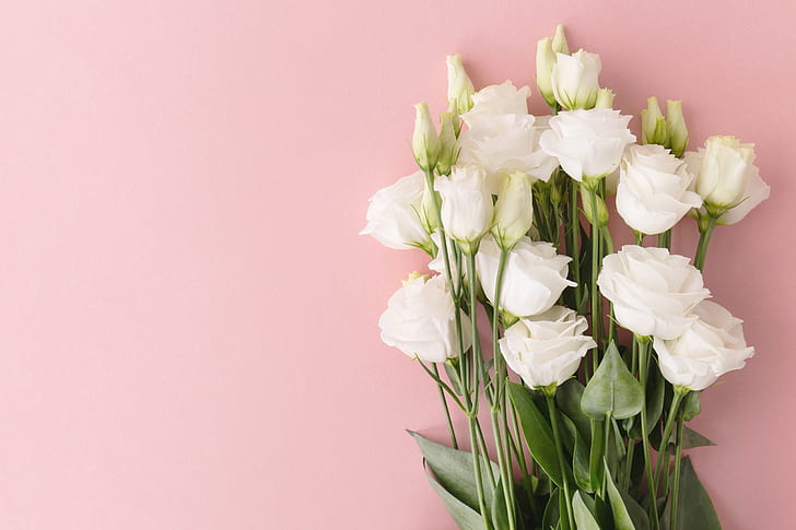 Blumen, Weiß, Blumenstrauß, Eustoma, rosa Hintergrund, HD-Hintergrundbild