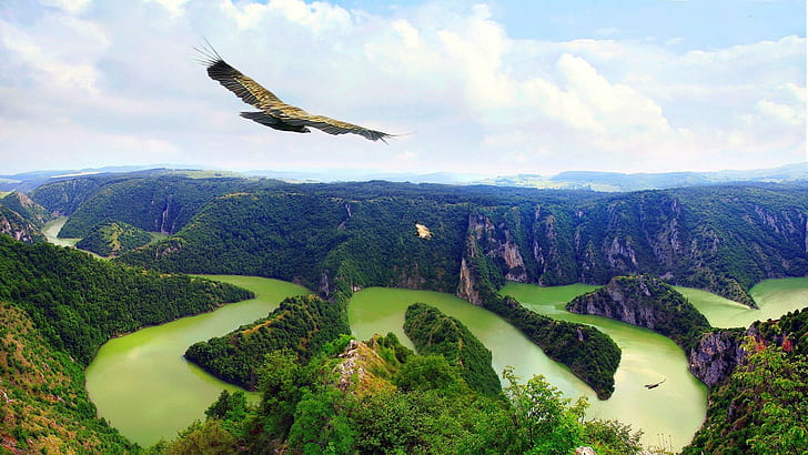 Águias voando sobre a bela paisagem, falcão marrom e preto, paisagem, pássaros, animais, águias, voando, HD papel de parede