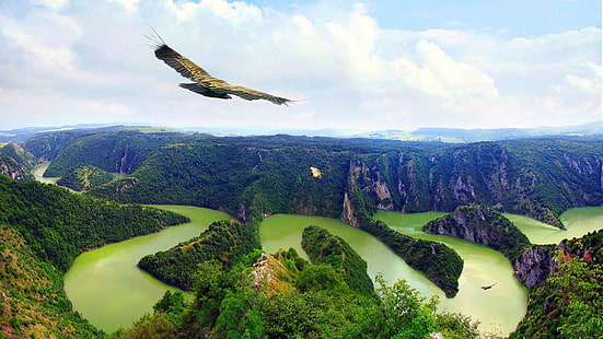 Eagles survolant le magnifique paysage, faucon brun et noir, paysage, oiseaux, animaux, aigles, volant, Fond d'écran HD HD wallpaper