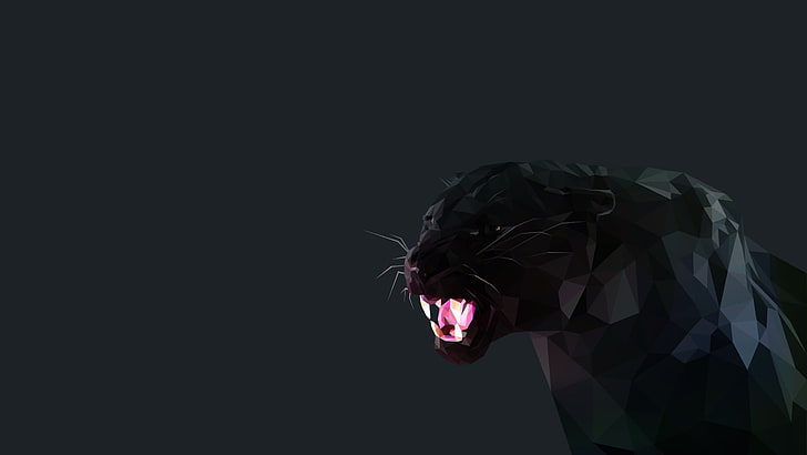 черная пантера иллюстрация, кошка, черная пантера, низкополигональная, HD обои