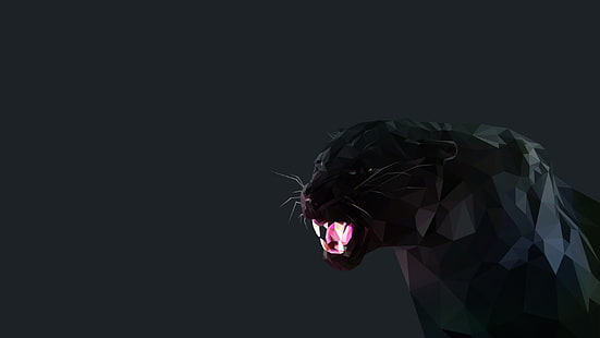 pantera nera illustrazione, gatto, pantera nera, poli basso, Sfondo HD HD wallpaper