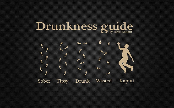 Guia da embriaguez por Ares Kanami, humor, álcool, ilustrações, HD papel de parede