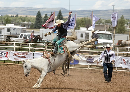 Sports, Rodeo, Cowboy, Horse, Sport, HD wallpaper HD wallpaper