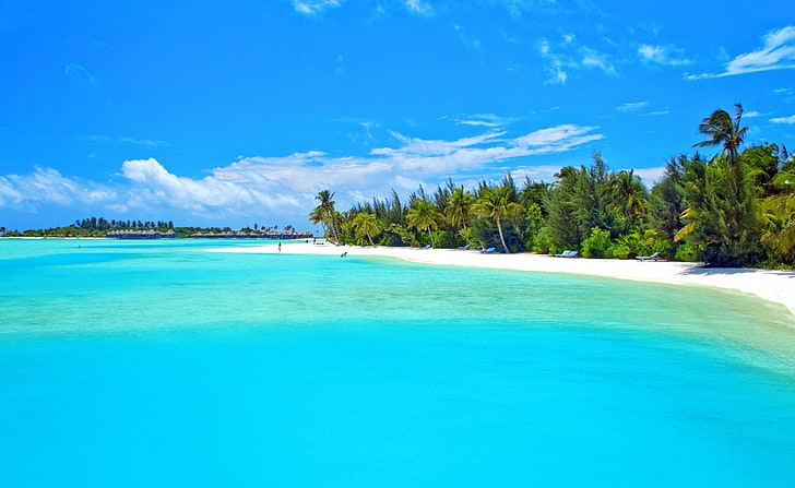 Tropical Bay, plaża w ciągu dnia, podróż, wyspy, ocean, egzotyczny, raj, krajobraz, lato, sen, woda, tropikalny, piasek, lato, luksus, palmy, wakacje, Tapety HD