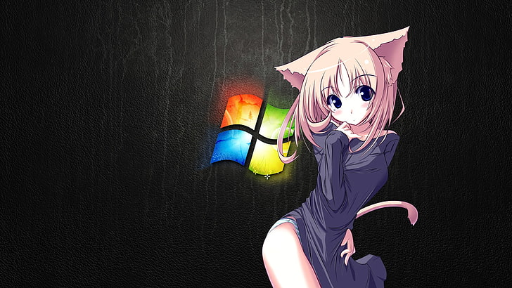 Windows 7 nekomimi oreilles d'animaux Microsoft Windows 1920x1080 Animaux Chats HD Art, Windows 7, nekomimi, Fond d'écran HD