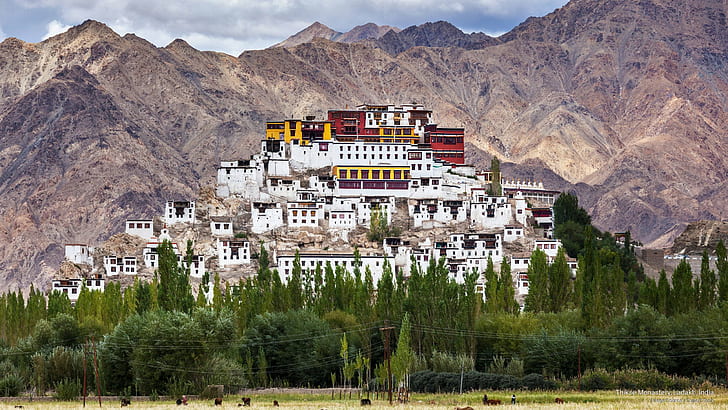 Monastero di Thikse, Ladakh, India, Asia, Sfondo HD