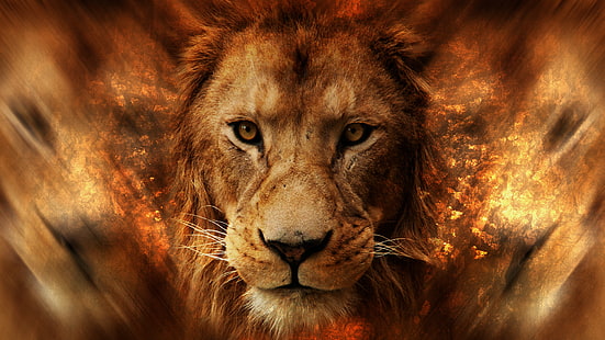 лев, животные, Африка, цифровое искусство, большие кошки, HD обои HD wallpaper