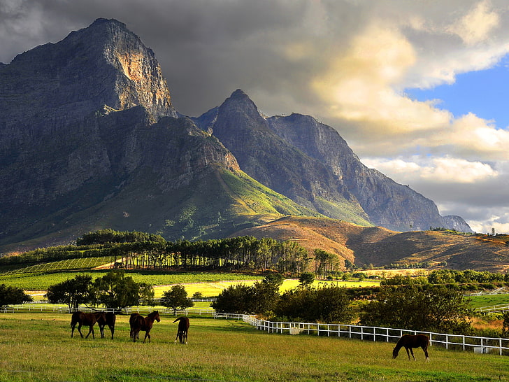 green mountain, Franschhoek, mountains, South Africa, farm, clouds, horse, landscape, vineyard, HD wallpaper