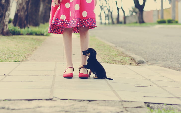 Gadis kecil kaki, anak anjing hitam, Gadis kecil, Kaki, Hitam, anak anjing, Wallpaper HD