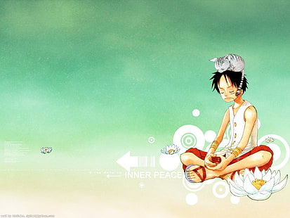 Monkey the Luffy digitale Hintergrundbild, Monkey D. Luffy, One Piece, Anime Boys, Katze, Typografie, HD-Hintergrundbild HD wallpaper