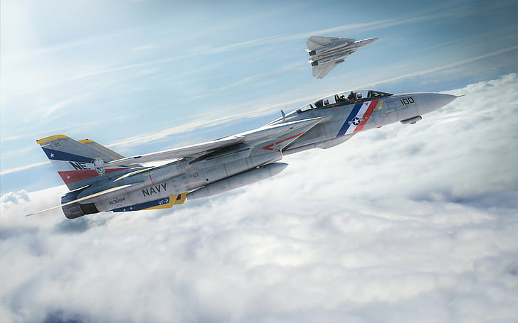 f 14, fighter, jet, military, plane, sky, tomcat, HD wallpaper