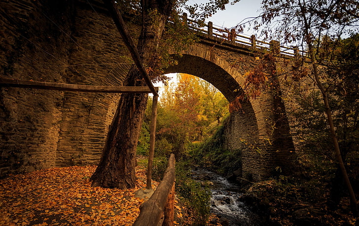 kahverengi tuğla köprü, gündüz sırasında ağacın yanında kahverengi köprü, köprü, manzara, düşmek, yapraklar, HD masaüstü duvar kağıdı
