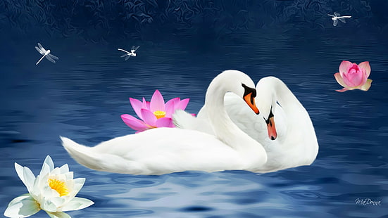 Vögel, Schwan, Künstlerisch, Paar, Libelle, Lotus, Liebe, Teich, HD-Hintergrundbild HD wallpaper