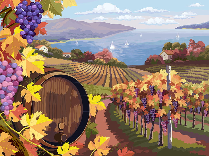 nature, wine, landscape, grapes, bunch, barrel, landscapes, Vector, Four, Rural, seasons, Vineyard, bunches, HD wallpaper