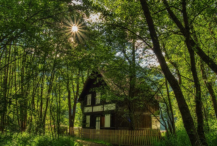photo, Nature, The fence, Trees, Austria, House, Carinthia, Rays of light, HD wallpaper