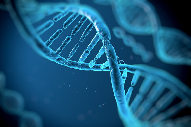 DNA-Strang-Illustration, 3 d, Abstraktion, DNA, genetisch, Molekül, Muster, psychedelisch, Struktur, HD-Hintergrundbild