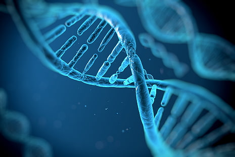 Ilustración de cadena de ADN, 3 d, abstracción, adn, genética, molécula, patrón, psicodélico, estructura, Fondo de pantalla HD HD wallpaper