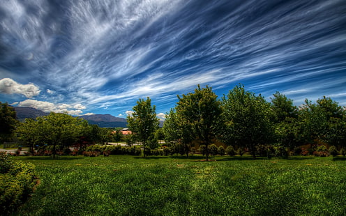 alberi a foglia verde, nuvole, cielo, estate, blu scuro, verde, bianco, alberi, giardino, Sfondo HD HD wallpaper