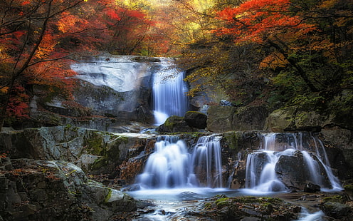 natur, landskap, falla, vattenfall, färgglada, skog, löv, mossa, träd, HD tapet HD wallpaper