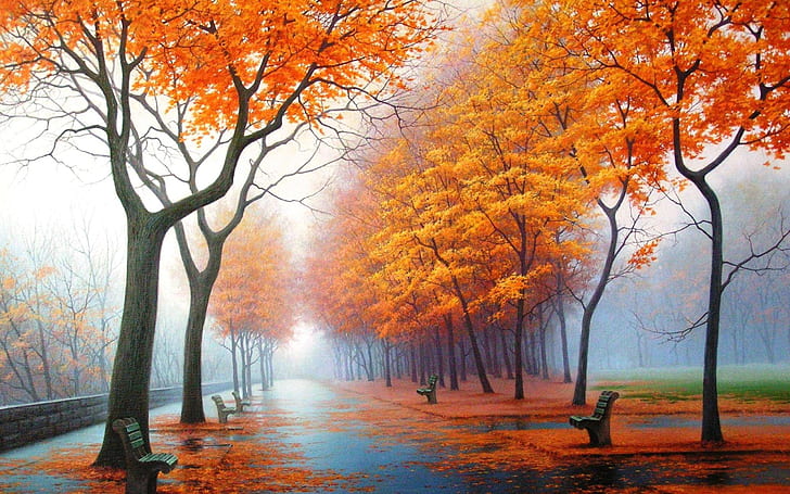 Lanskap air pohon musim gugur musim hujan orange daun kabut bangku taman 2560x1600 musim alam hd seni, air, lanskap, Wallpaper HD