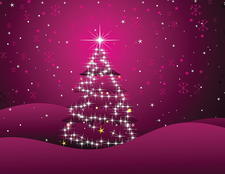 ? Christmas Day ?, shining, wonderful, star, christmas-tree, HD wallpaper