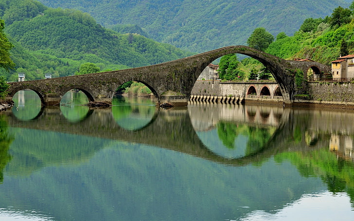 nature, bridge, HD wallpaper