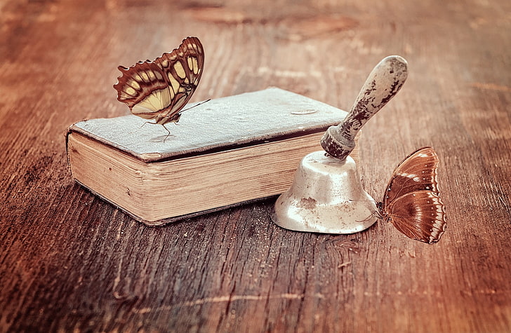 Vintage Book and Butterflies, book page and bell, Vintage, Butterflies, Wood, Bell, Book, Antique, stilllife, retrolook, oldbook, woodentable, HD wallpaper