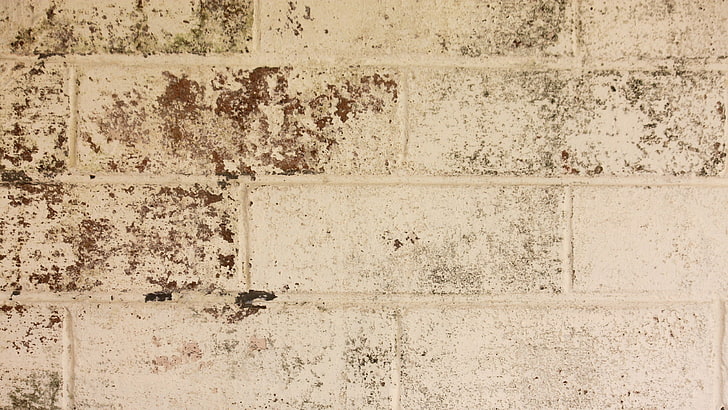 Brick, wall, bricks, texture, HD wallpaper