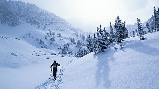 ски туризъм, пейзаж, заснежен, алпинизъм, дърво, замръзване, планина, зимен спорт, ски алпинизъм, зима, ски, северно ски, небе, хребет, планинска верига, ски бягане, сняг, HD тапет HD wallpaper