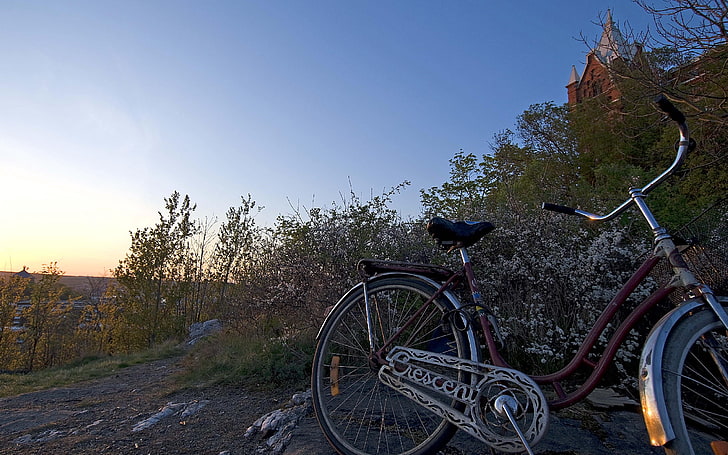 茶色の都市自転車、自転車、草、枝、自然、夜、 HDデスクトップの壁紙