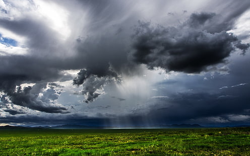 Mongoliet, gröna fält, mörka moln, regn, nimbus moln, Mongoliet, grönt, fält, mörkt, moln, regn, HD tapet HD wallpaper