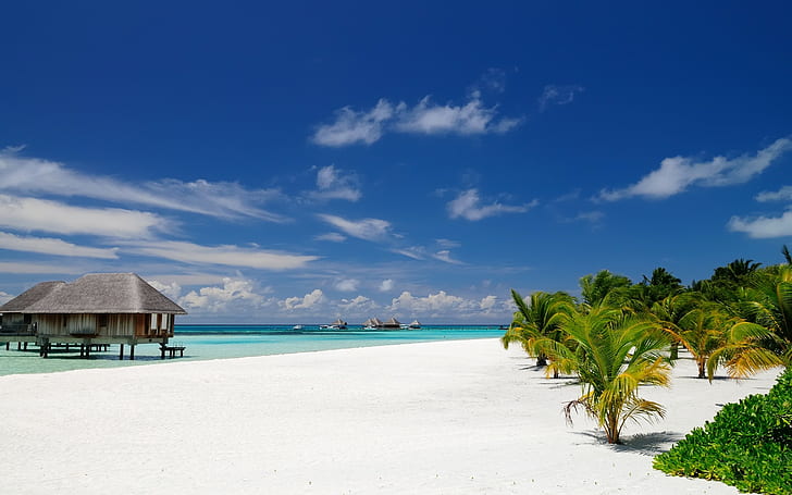 пляж, тропический, песок, остров, море, архитектура, природа, пейзаж, курорт, пальмы, Мальдивы, лето, бунгало, HD обои