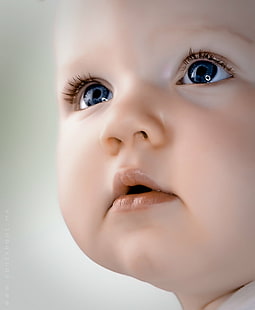rosto de bebê, crianças, projeto, rosto de bebê, criança, criança, retrato, infantil, menina, colheita, olhos azuis, softbox, nikon d200, sigma, bambina, explorado, bebê, bonito, pequeno Rosto humano, pessoas, inocência, caucasianoEtnia, uma Pessoa, infância, close-up, HD papel de parede HD wallpaper
