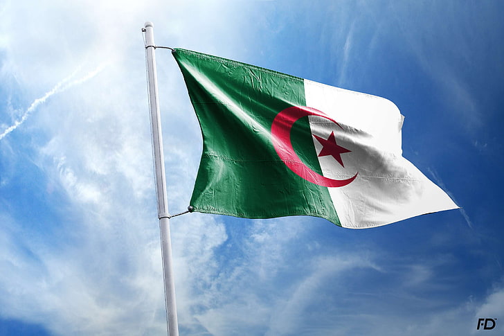 алжир, алжир, арабский, рокхдзаири, флаг, зелено-красный белый, HD обои
